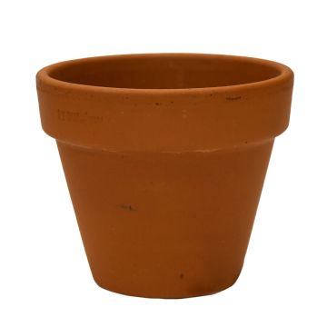 ICM, Standard Pot, Red, 4.33"