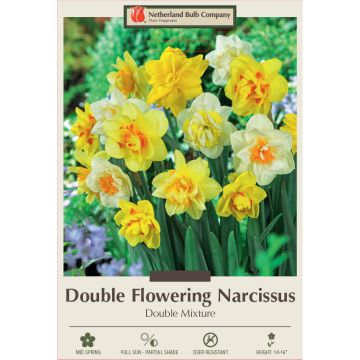 Narcissus Assortment, Double Flowering Mixture