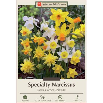 Narcissus Assortment, Rock Garden Mixture