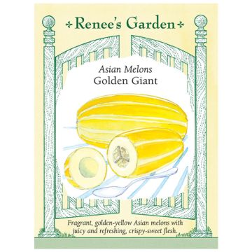 Cucumis, Asian Melon 'Golden Giant' ~ 24 seeds