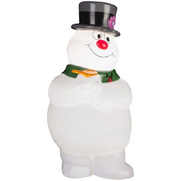 Warner Brothers, Incandescent White Frosty With Scarf 2 ft. Blow Mold