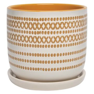 Border Concepts, XOXO Egg Pot with Attached Saucer, Yellow, 4.5"