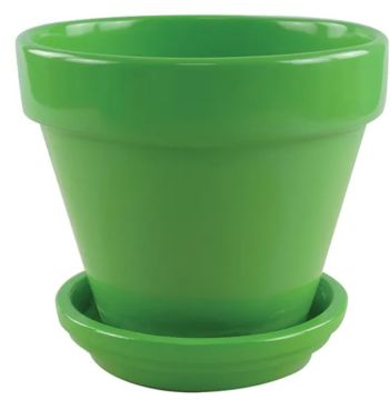 Border Concepts, Standard Pot with Attached Saucer, Lime, 4"