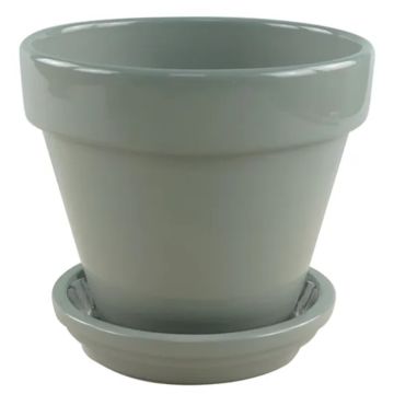 Border Concepts, Standard Pot with Attached Saucer, Grey, 4"