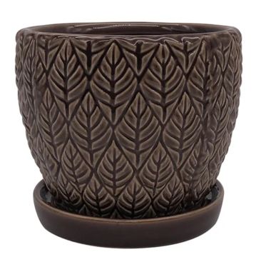 Border Concepts, Sherborn Planter with Attached Saucer, Crocodile, 5"