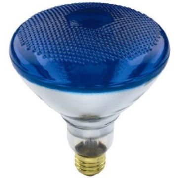 Light Bulbs, 100W Floodlight Bulb, Blue