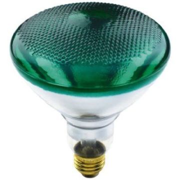 Light Bulbs, 100W Floodlight Bulb, Green