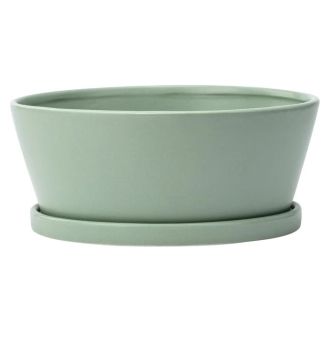 Napco, Green Dish Garden with Saucer, 8.5"