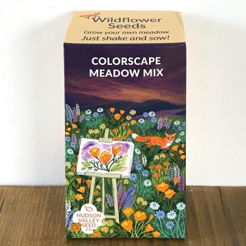 Mix, Wildflower Seeds, Colorscape Meadow Mix, 100 sqft