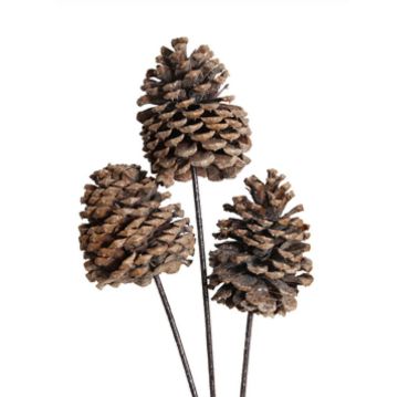 Vyn Jeffrey Pine Cones Frosted, 3 Stems