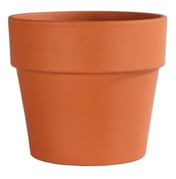 Border Concepts, German Calima Pot, Terracotta, 11"