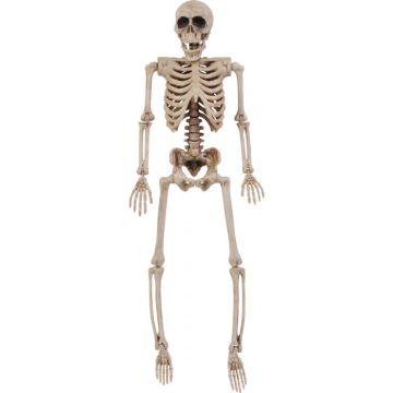 Fun World Articulate 14 inch Skeleton