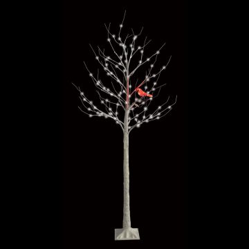 Holiday Bright Lights, Birch Tree LEDs with Cardinal 6FT