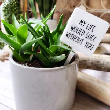 Mad River Snarky Plant Marker Stake - My Life Would Succ Without You