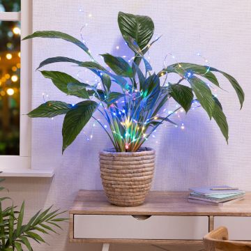 Lumineo LED, Plant Lights Multi Battery Operated, 160L