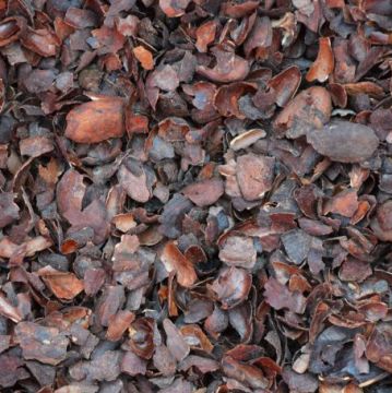 Cocoa Bean Mulch per bag