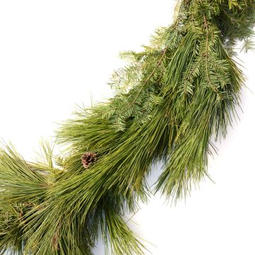 Garland, Balsam Fir and Pine Roping, 25 Foot