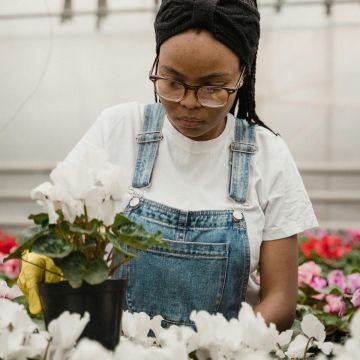 Plant a Blooming Basket Workshop | Sunday, March 2nd