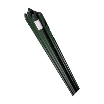 Bond, Green Steel Plant Stake, 6'