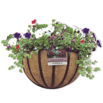 Border Concepts, Traditional Wall Basket with Coconut Liner