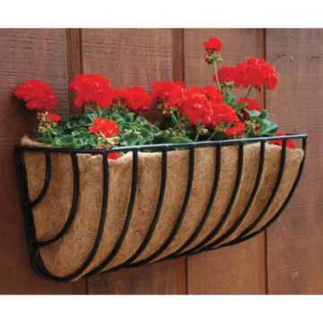 Border Concepts, Deep Waterbury Wall Trough with Coconut Liner