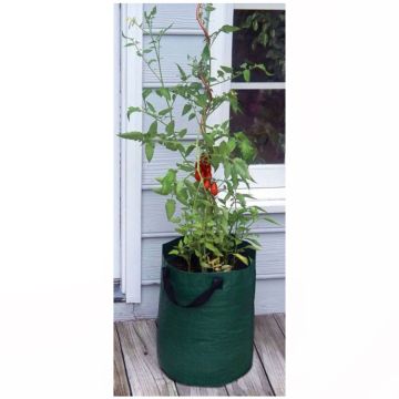 Bosmere, Tomato Planter Bag for Decks Patios and Balconies