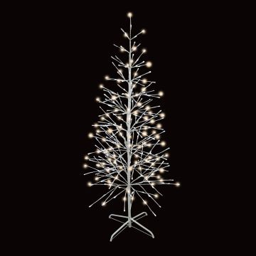 Holiday Bright Lights LED, Birch Tree 5MM Champagne Twinkle 360L/5.5FT