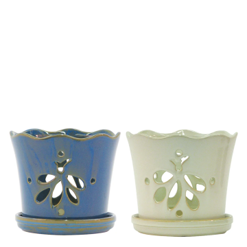 Border Concepts, Butterfly Orchid Pot, 8" (blue or white)