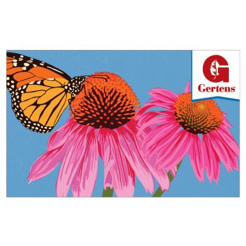 Butterfly Coneflower - Gift Card