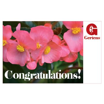 Congratulations Pink Flowers - Gift Card