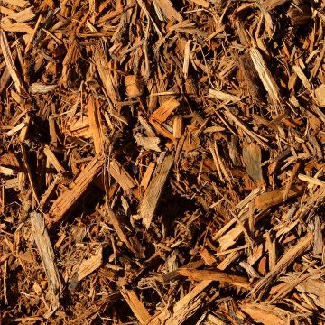 Green Loon® Custom Gold Hardwood Mulch by the Half Pallet