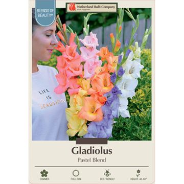 Gladiolus 'Pastel Blend'