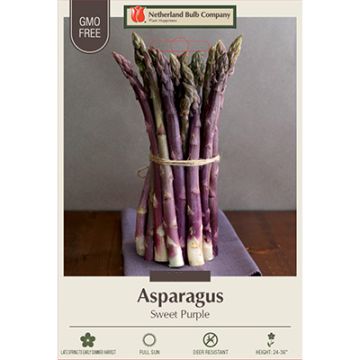 Asparagus 'Sweet Purple'