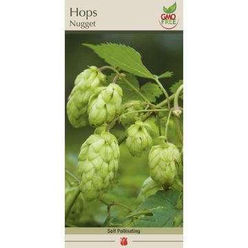 Humulus, Hops 'Nugget'