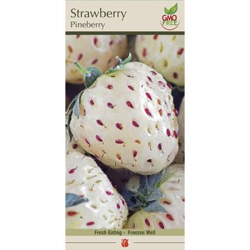 Fragaria, Strawberry 'Pineberry'