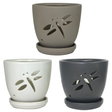 Border Concepts, Dragonfly Orchid Pot (assorted matte colors) 