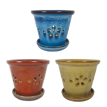 Border Concepts, Daisy Orchid Pot, 5.5" (assorted colors)