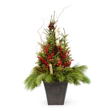 'Elegant Designer' with Red Accents Assortment, Spruce Tip Container