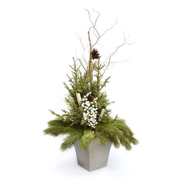 'Elegant Designer' with White Accents Assortment, Spruce Tip Container