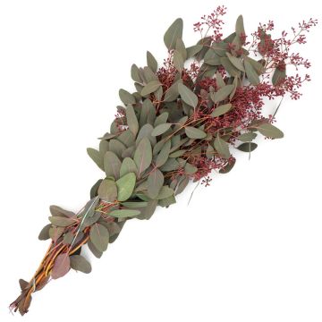 Branches, Eucalyptus with Seed Heads 'Burgundy'