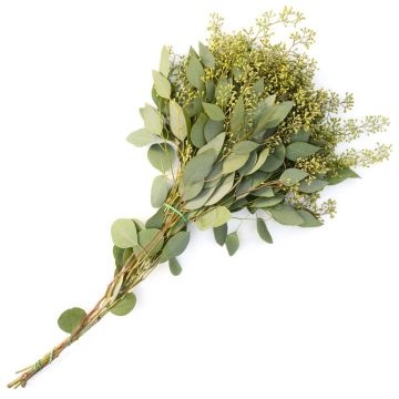 Branches, Eucalyptus with Seed Heads