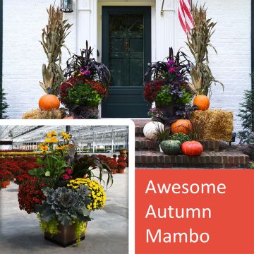 18" Awesome Autumn Mambo, Fall Front Door Package