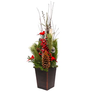 'Feathered Friends' Spruce Tip Container 