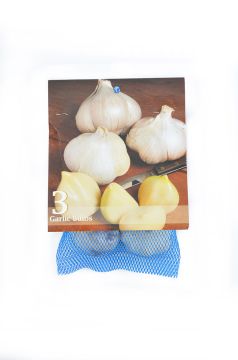 Garlic Bulbs, 3 pack