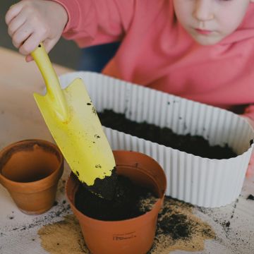 Growing Seeds with Children | Sunday, February 2nd