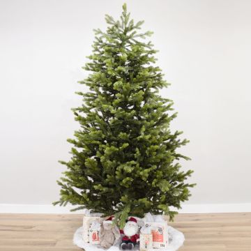 Minnesota Spruce Unlit, Gabriel Tree® Artificial Christmas Tree