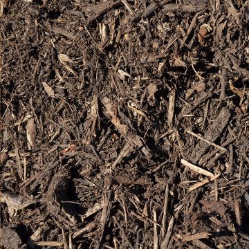 Green Loon® Hardwood Mulch by the Quarter Pallet