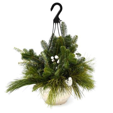 'Holiday' Hanging Spruce Tip Basket with White Accents