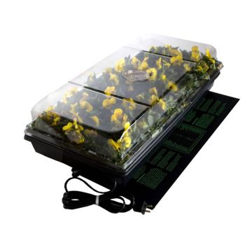 Jump Start Germination Station