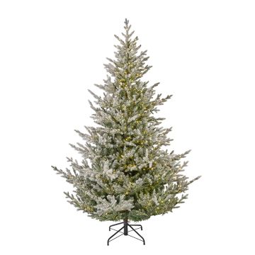 Norway Spruce Snowy with Warm White Micro LEDs, Everlands Artificial Christmas Tree